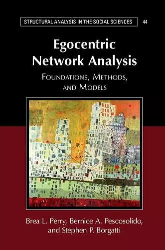 Egocentric Network Analysis cover