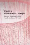 What is a Mathematical Concept? cover