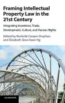 Framing Intellectual Property Law in the 21st Century cover