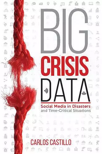 Big Crisis Data cover