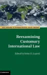 Reexamining Customary International Law cover