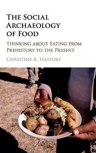 The Social Archaeology of Food cover