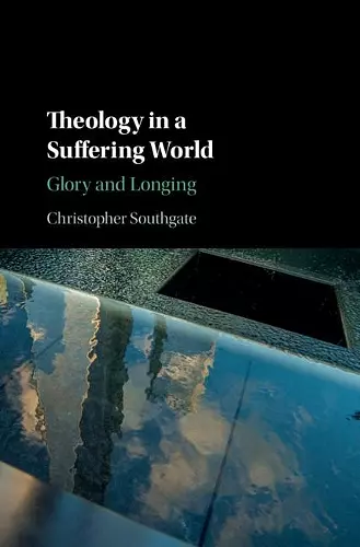 Theology in a Suffering World cover