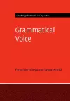 Grammatical Voice cover