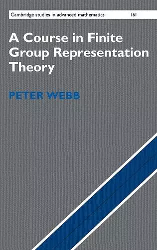 A Course in Finite Group Representation Theory cover