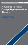 A Course in Finite Group Representation Theory cover