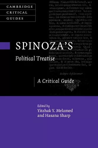 Spinoza's Political Treatise cover