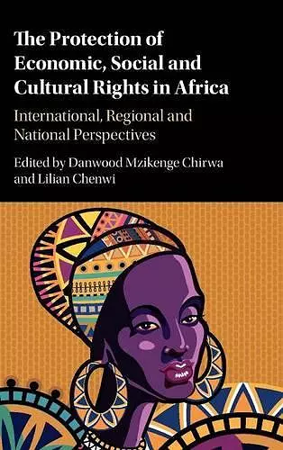 The Protection of Economic, Social and Cultural Rights in Africa cover