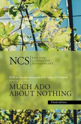 Much Ado about Nothing cover