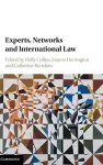 Experts, Networks and International Law cover