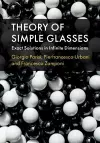 Theory of Simple Glasses cover