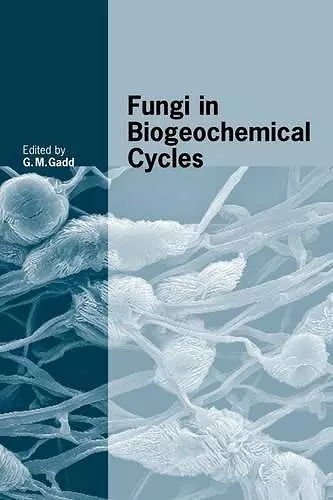 Fungi in Biogeochemical Cycles cover