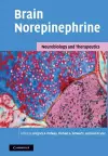 Brain Norepinephrine cover