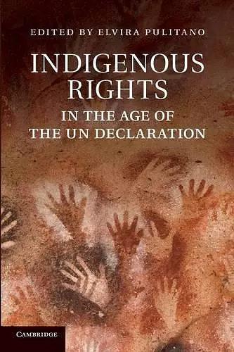 Indigenous Rights in the Age of the UN Declaration cover