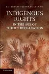 Indigenous Rights in the Age of the UN Declaration cover