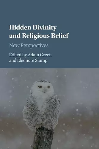 Hidden Divinity and Religious Belief cover