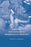 Ancestral Maya Economies in Archaeological Perspective cover