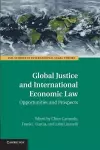 Global Justice and International Economic Law cover