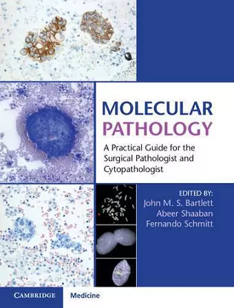 Molecular Pathology with Online Resource cover