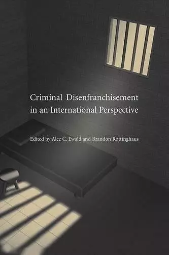 Criminal Disenfranchisement in an International Perspective cover