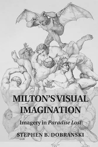 Milton's Visual Imagination cover