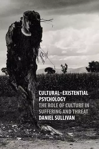 Cultural-Existential Psychology cover