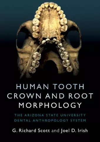 Human Tooth Crown and Root Morphology cover