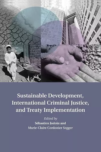 Sustainable Development, International Criminal Justice, and Treaty Implementation cover