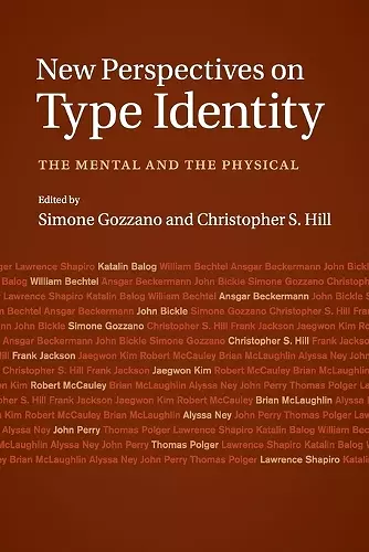 New Perspectives on Type Identity cover