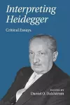 Interpreting Heidegger cover