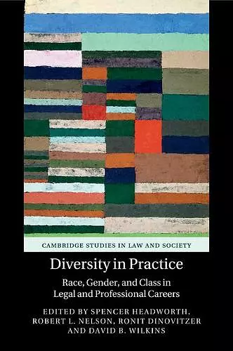 Diversity in Practice cover