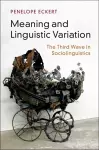 Meaning and Linguistic Variation cover