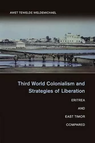 Third World Colonialism and Strategies of Liberation cover