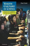 Youth Culture in China cover