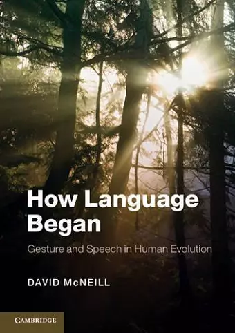 How Language Began cover