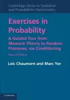 Exercises in Probability cover