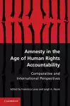 Amnesty in the Age of Human Rights Accountability cover