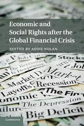 Economic and Social Rights after the Global Financial Crisis cover