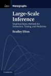Large-Scale Inference cover