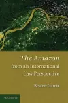 The Amazon from an International Law Perspective cover