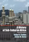 A History of Sub-Saharan Africa cover