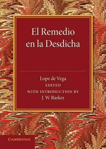 El remedio en la desdicha cover