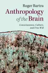 Anthropology of the Brain cover