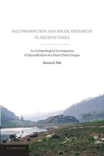 Salt Production and Social Hierarchy in Ancient China cover