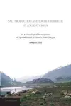 Salt Production and Social Hierarchy in Ancient China cover