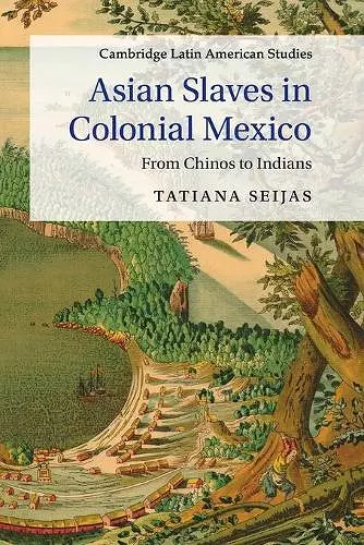 Asian Slaves in Colonial Mexico cover