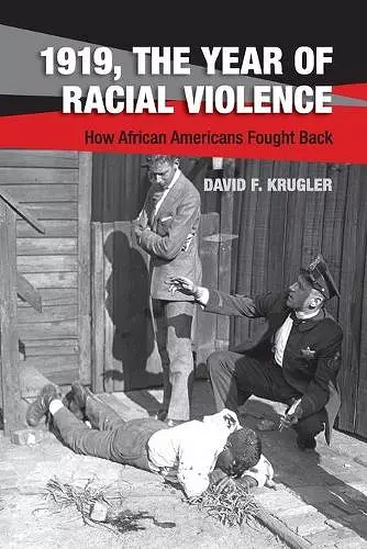 1919, The Year of Racial Violence cover