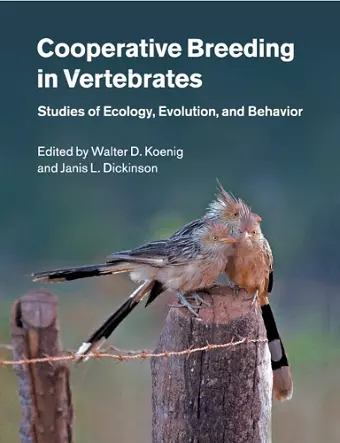 Cooperative Breeding in Vertebrates cover