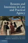 Reasons and Intentions in Law and Practical Agency cover