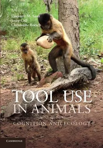 Tool Use in Animals cover